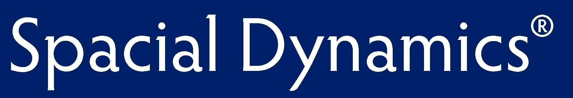 Stage de Spacial Dynamics